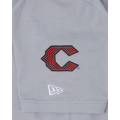Cincinnati Reds City Connect Gray T-Shirt