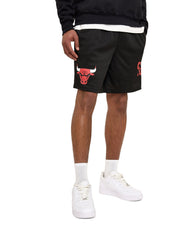 Boston Celtics Mesh Shorts