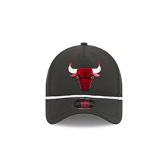 Chicago Bulls Performance 9FORTY APEX Snapback Hat