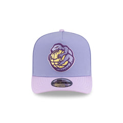 Toronto Raptors Hardwood Classics Lavender Purple 9FIFTY A-Frame Snapback Hat