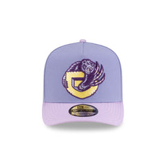 Vancouver Grizzlies Hardwood Classics Lavender Purple 9FIFTY A-Frame Snapback Hat